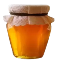 عسل فى اللاذقية