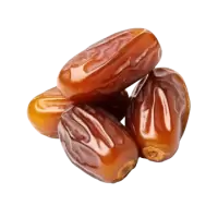 تمور فى اللاذقية